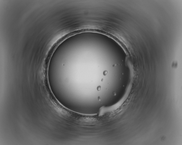 X0000095911119200801111226