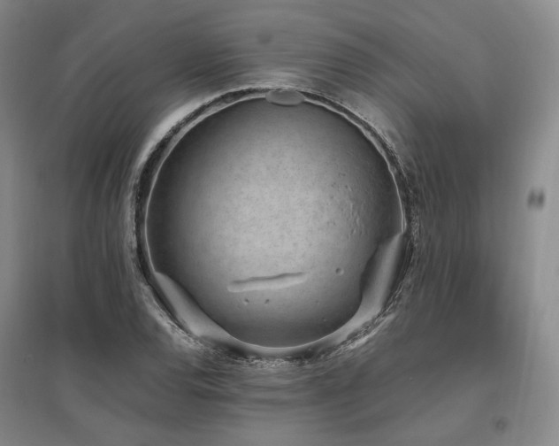 X0000095911120200801111226