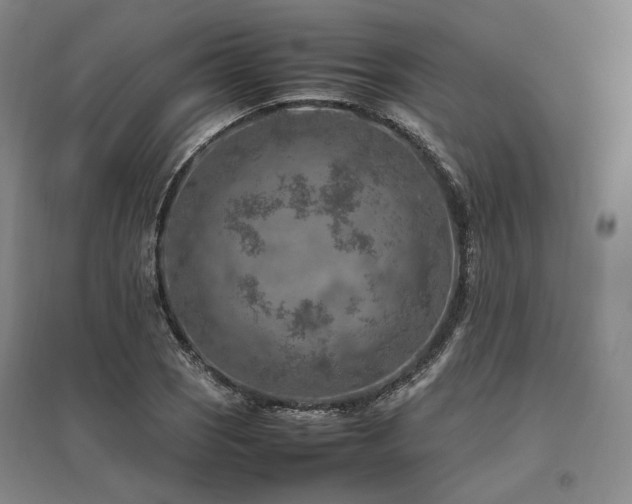 X0000095911121200801111226