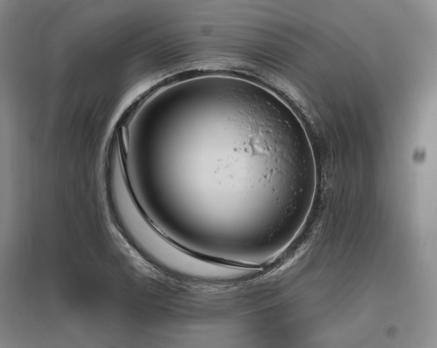X0000095911122200801111226