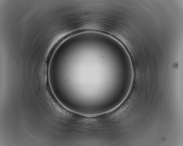 X0000095911123200801111226