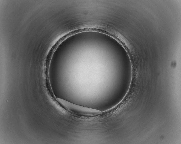 X0000095911124200801111226