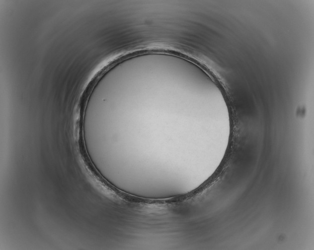 X0000095911126200801111226