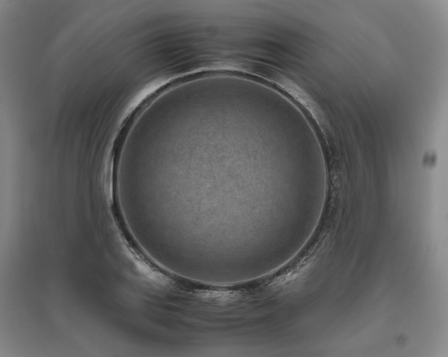X0000095911127200801111226