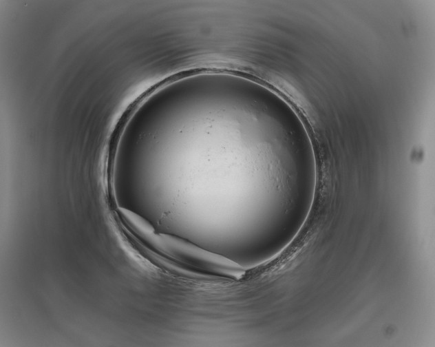 X0000095911128200801111226