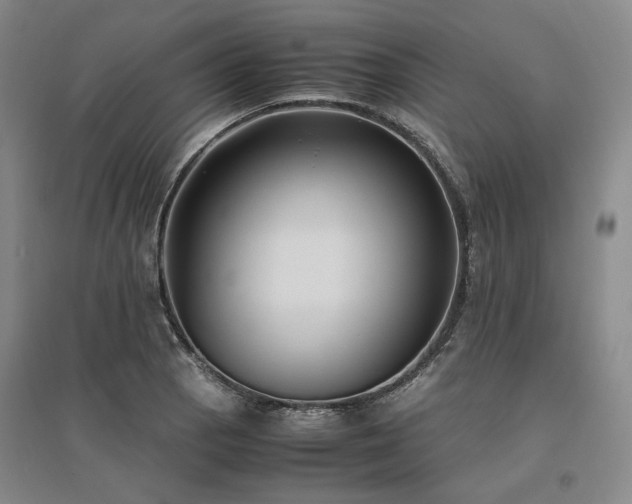 X0000095911129200801111226