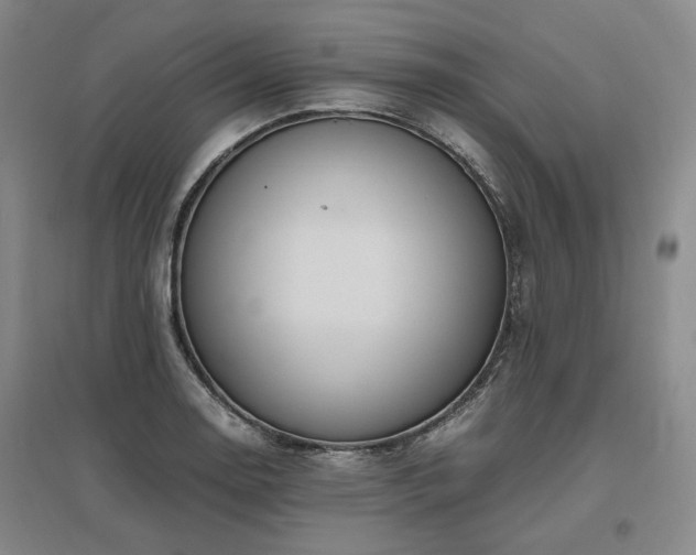 X0000095911130200801111226