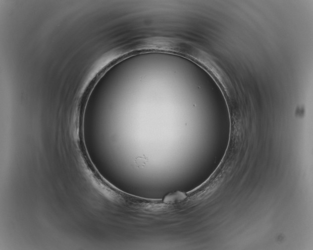 X0000095911131200801111226