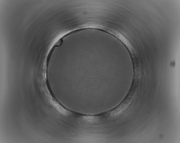 X0000095911132200801111226