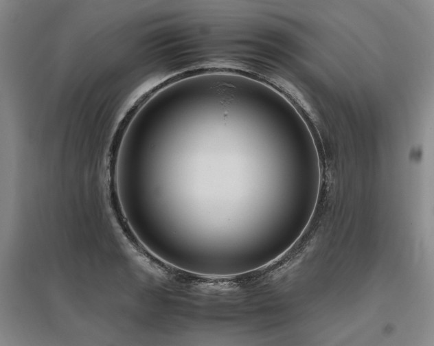 X0000095911133200801111226