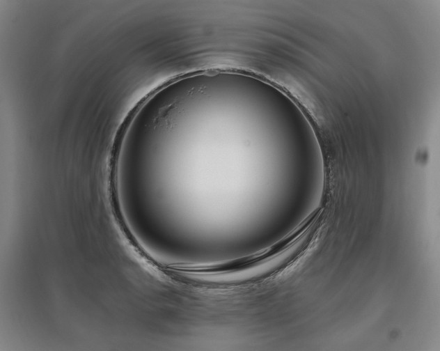 X0000095911134200801111226
