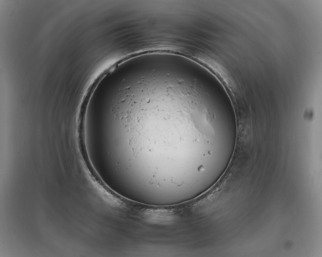 X0000095911135200801111226