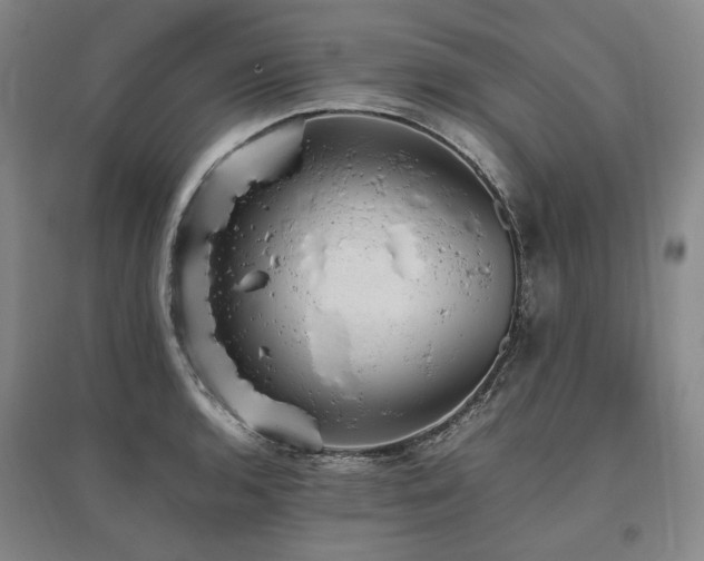 X0000095911136200801111226