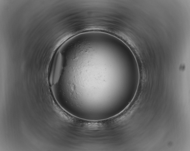 X0000095911137200801111226