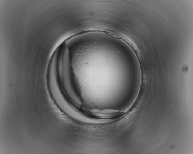 X0000095911138200801111226