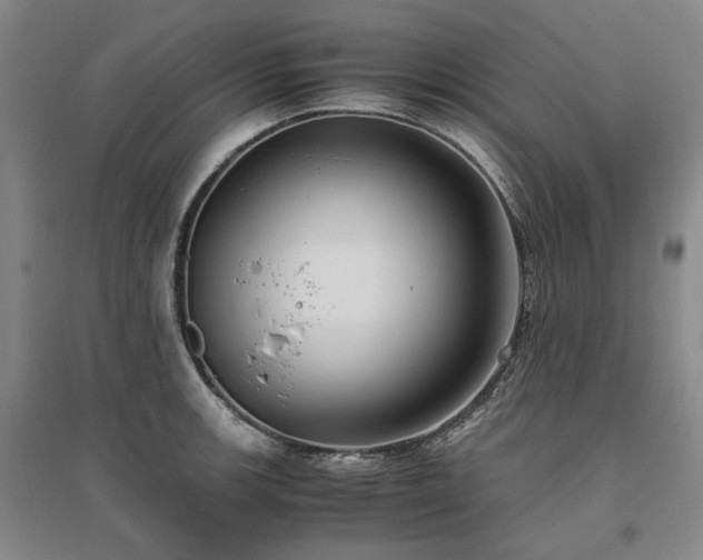 X0000095911139200801111226
