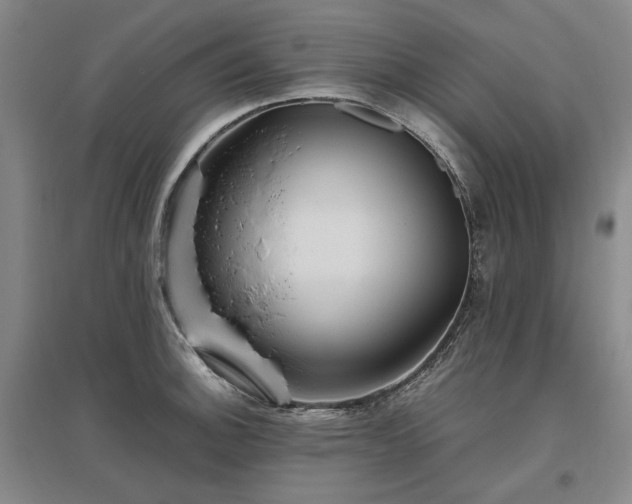 X0000095911140200801111226