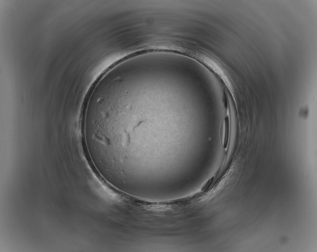 X0000095911141200801111226