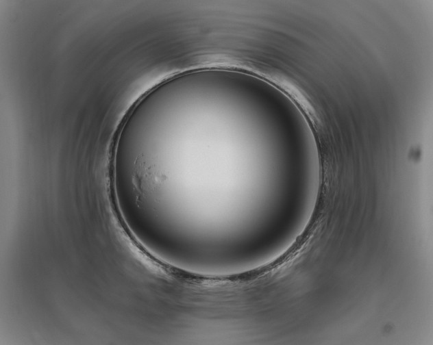 X0000095911142200801111226