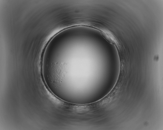 X0000095911143200801111226