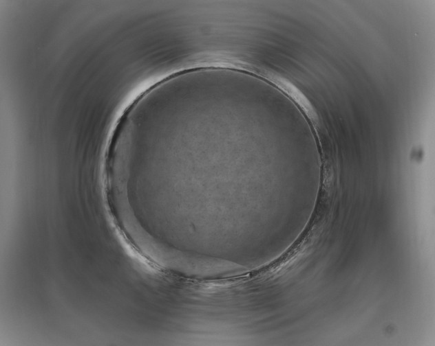 X0000095911144200801111226
