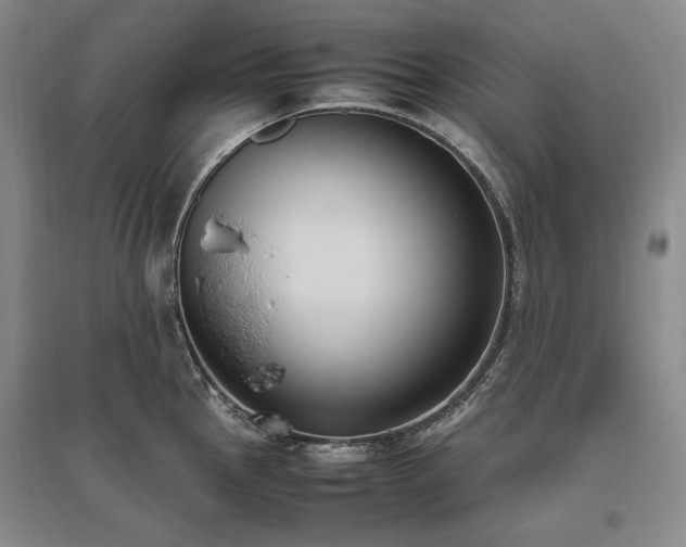 X0000095911145200801111226