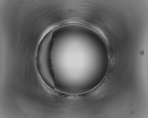 X0000095911146200801111226