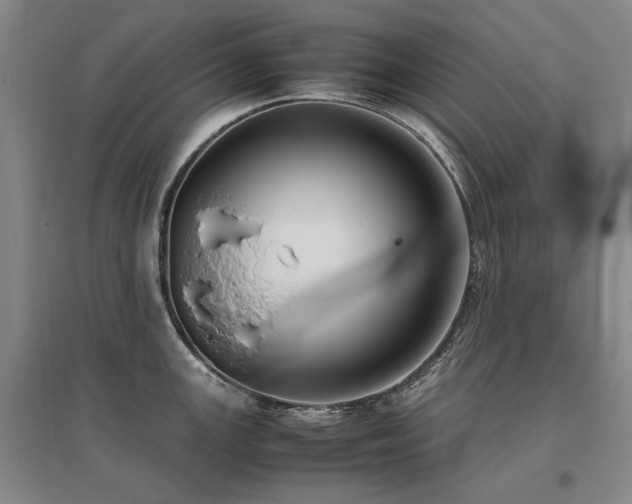X0000095911147200801111226