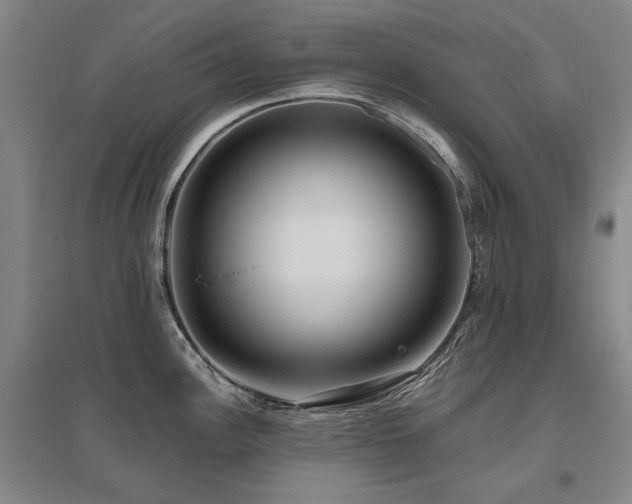 X0000095911148200801111226