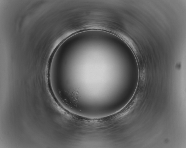 X0000095911149200801111226