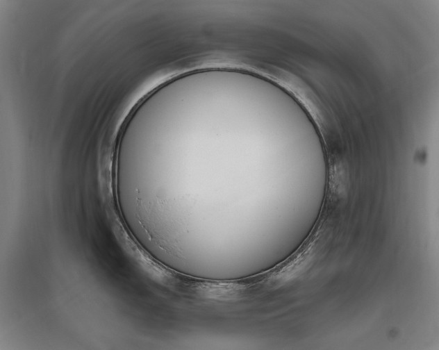 X0000095911150200801111226