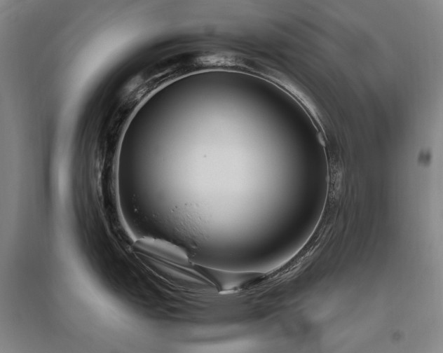 X0000095911151200801111226