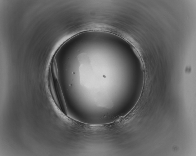 X0000095911152200801111226