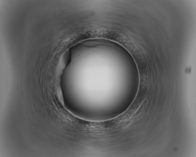 X0000095911153200801111226
