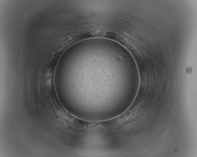 X0000095911154200801111226