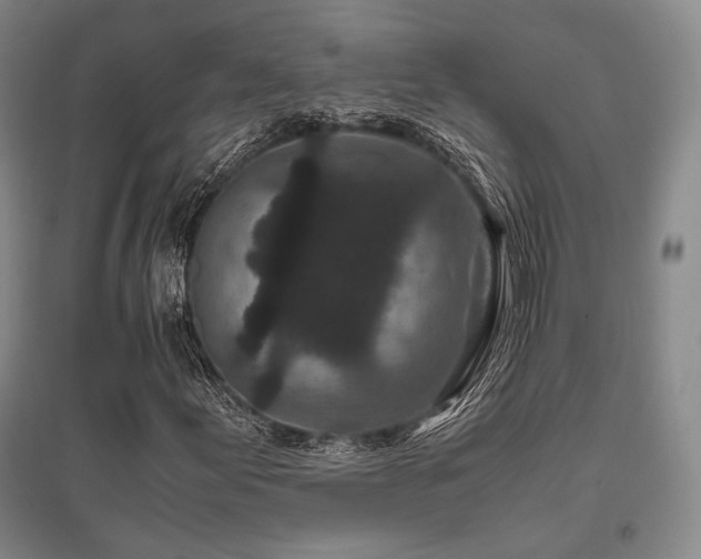 X0000095911155200801111226