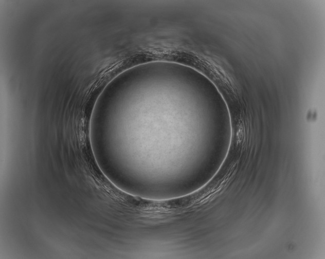 X0000095911156200801111226