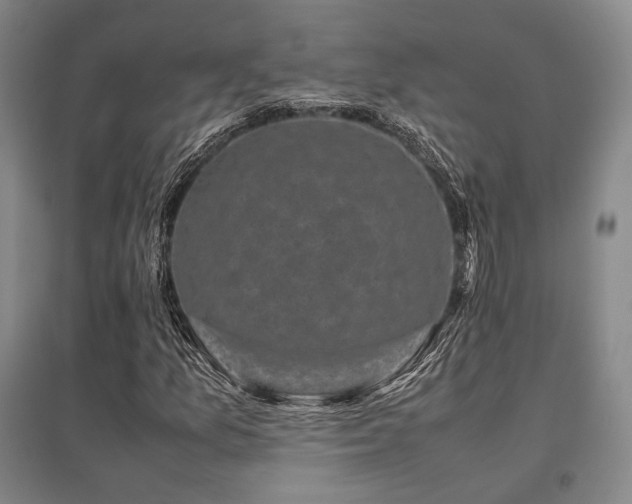 X0000095911157200801111226