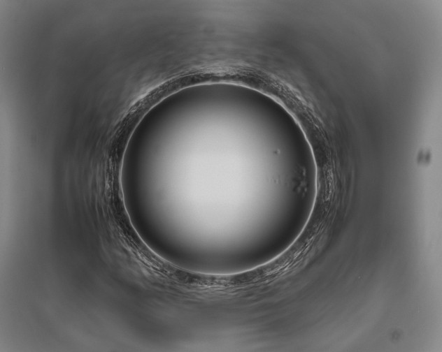 X0000095911158200801111226