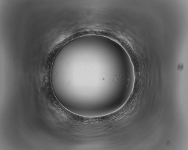 X0000095911159200801111226
