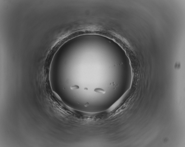 X0000095911160200801111226