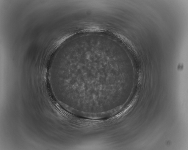 X0000095911161200801111226