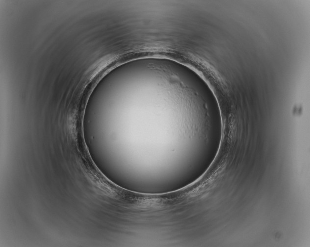 X0000095911162200801111226