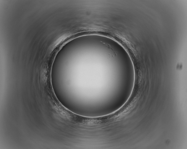 X0000095911163200801111226