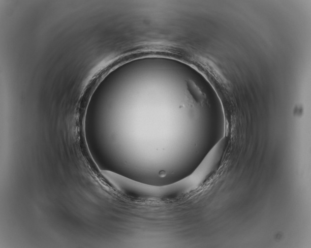 X0000095911164200801111225