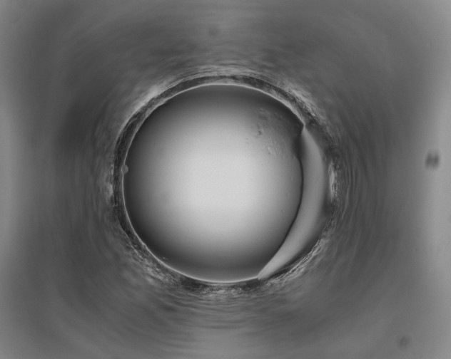 X0000095911165200801111225