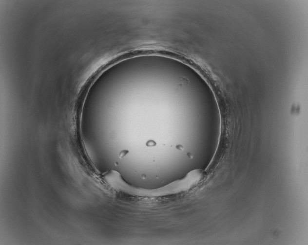 X0000095911167200801111225