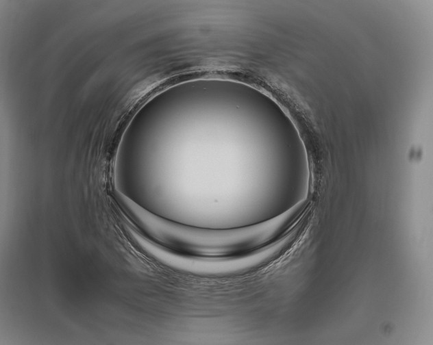 X0000095911169200801111225
