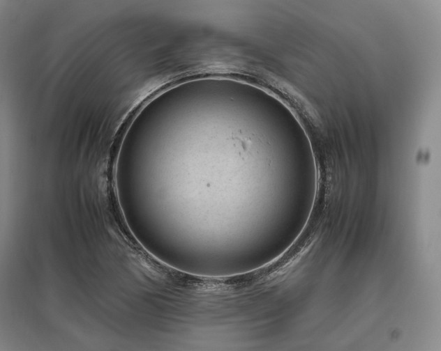 X0000095911170200801111225