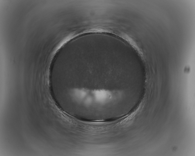 X0000095911173200801111225